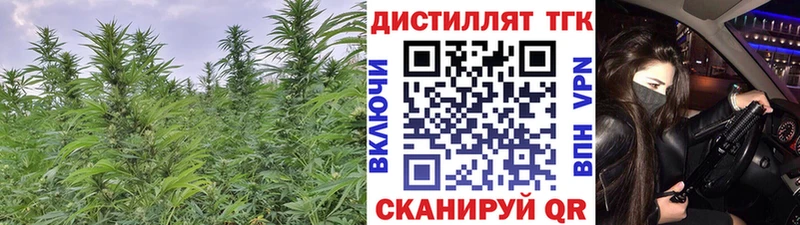 kraken ТОР  Сосновка  ТГК Wax 