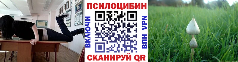 Псилоцибиновые грибы GOLDEN TEACHER  Сосновка 